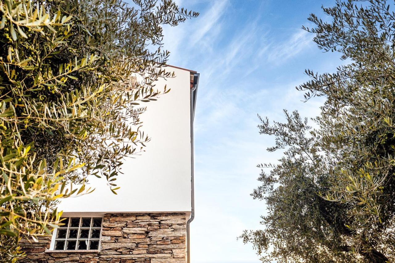 Вилла Casa Com Piscina No Coracao Do Douro - Domaine Casa Valenca, Валенса-ду-Дору Экстерьер фото