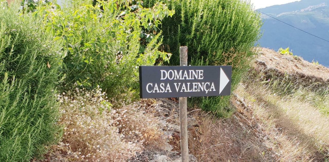 Вилла Casa Com Piscina No Coracao Do Douro - Domaine Casa Valenca, Валенса-ду-Дору Экстерьер фото
